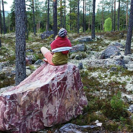 12 - Fulufjellets Nasjonalparker - Natur-, Dyre- Og Fugleopplevelser Ljørdal 외부 사진