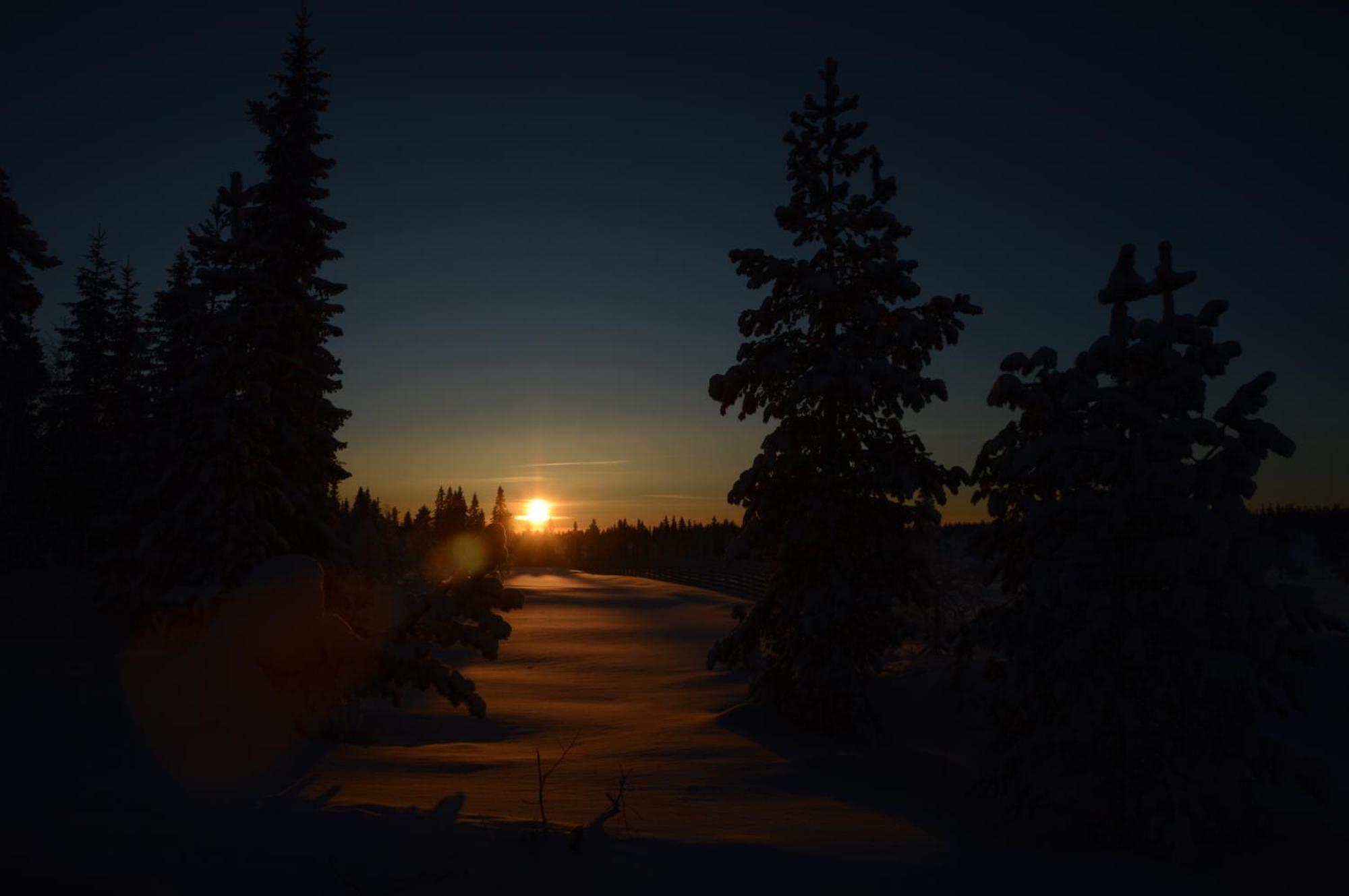 12 - Fulufjellets Nasjonalparker - Natur-, Dyre- Og Fugleopplevelser Ljørdal 외부 사진