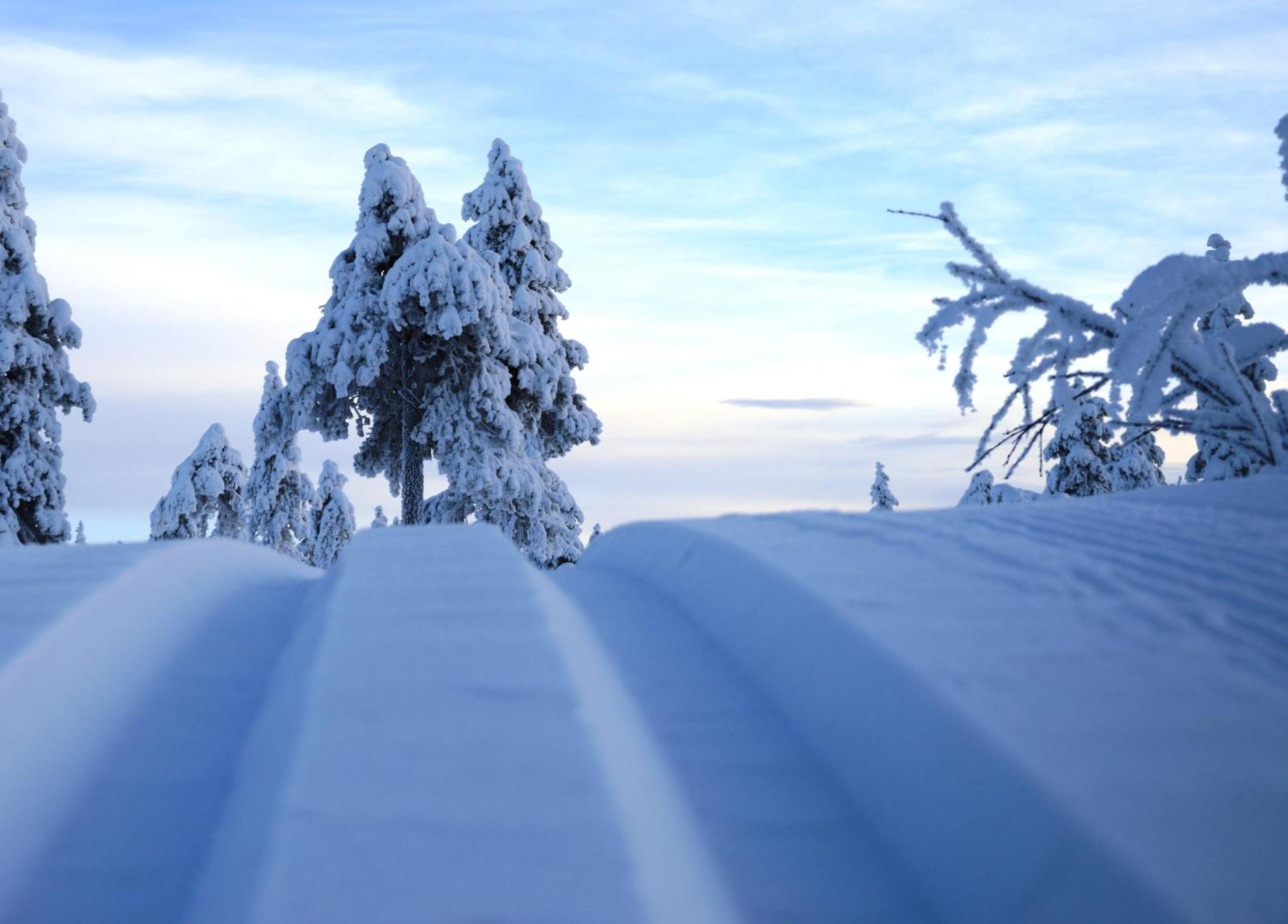 12 - Fulufjellets Nasjonalparker - Natur-, Dyre- Og Fugleopplevelser Ljørdal 외부 사진