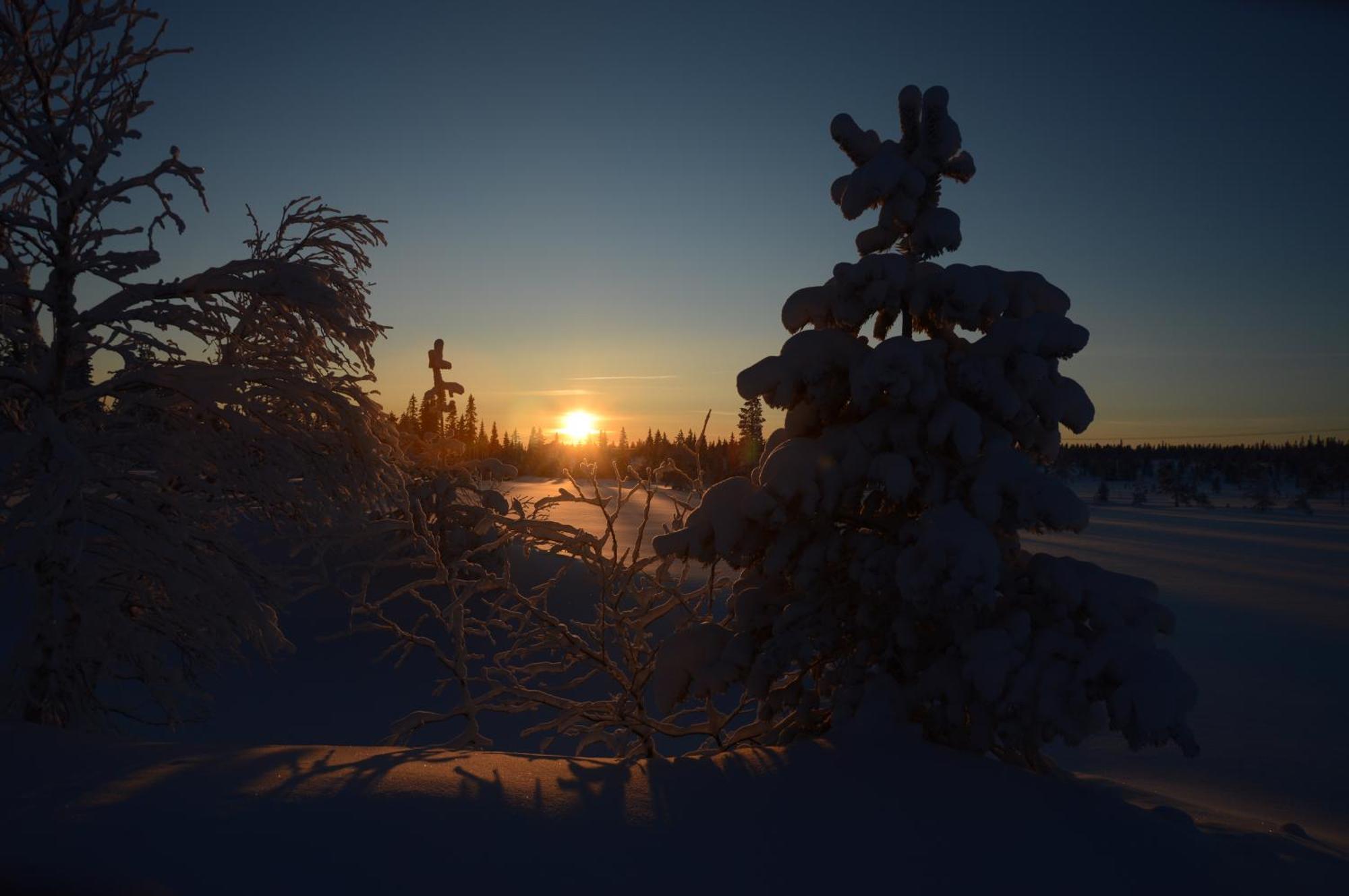 12 - Fulufjellets Nasjonalparker - Natur-, Dyre- Og Fugleopplevelser Ljørdal 외부 사진
