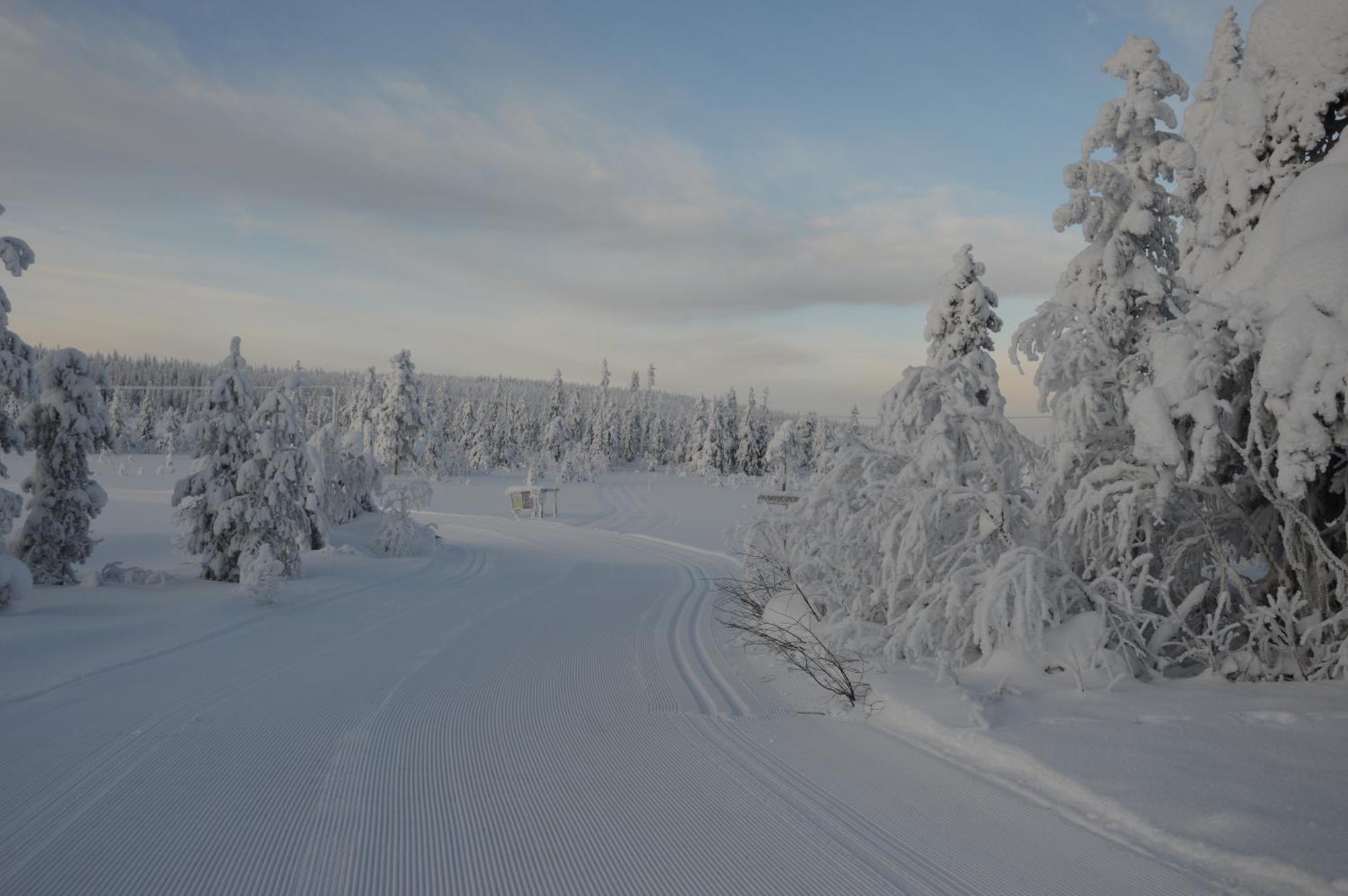 12 - Fulufjellets Nasjonalparker - Natur-, Dyre- Og Fugleopplevelser Ljørdal 외부 사진