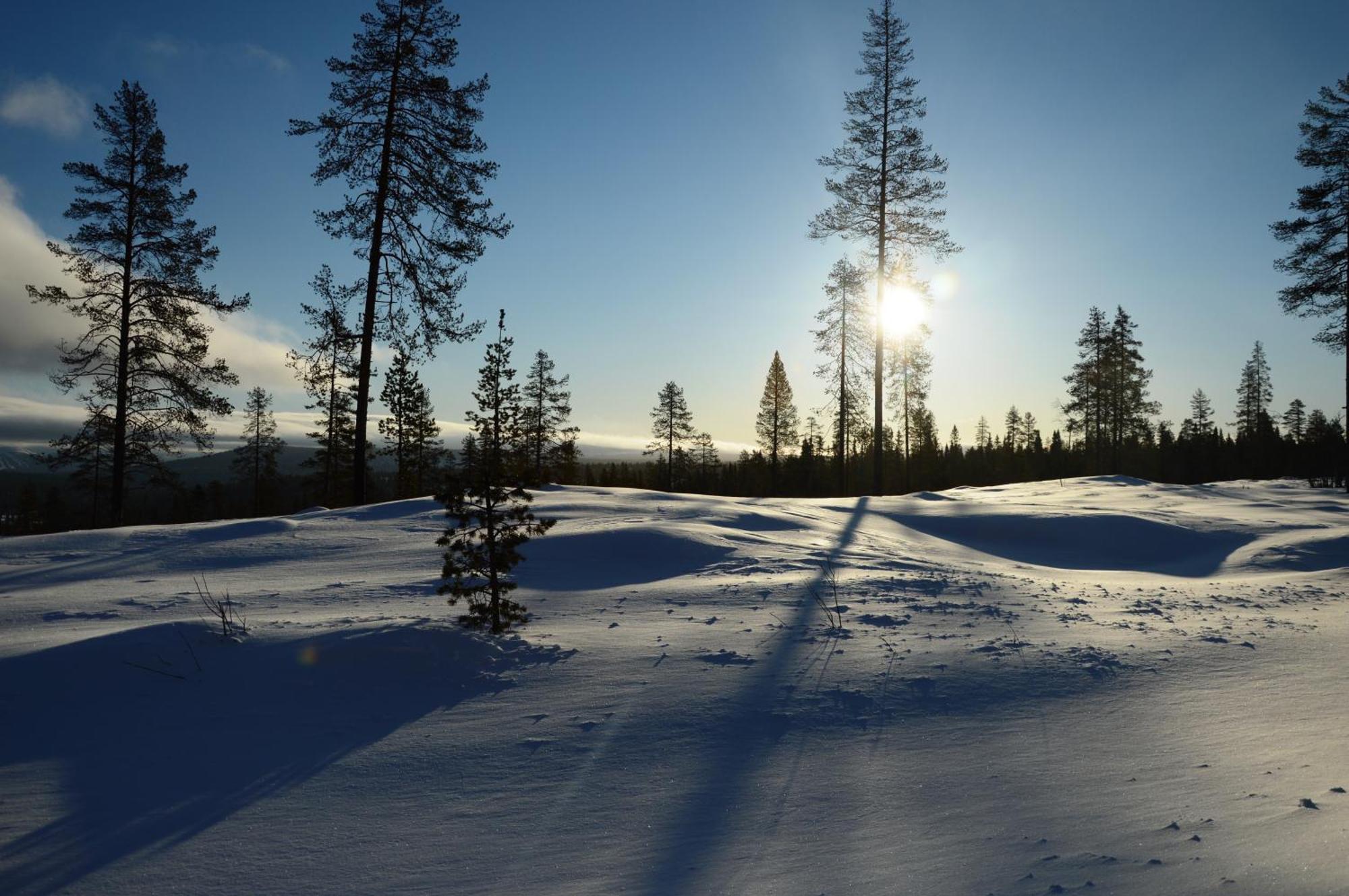12 - Fulufjellets Nasjonalparker - Natur-, Dyre- Og Fugleopplevelser Ljørdal 외부 사진