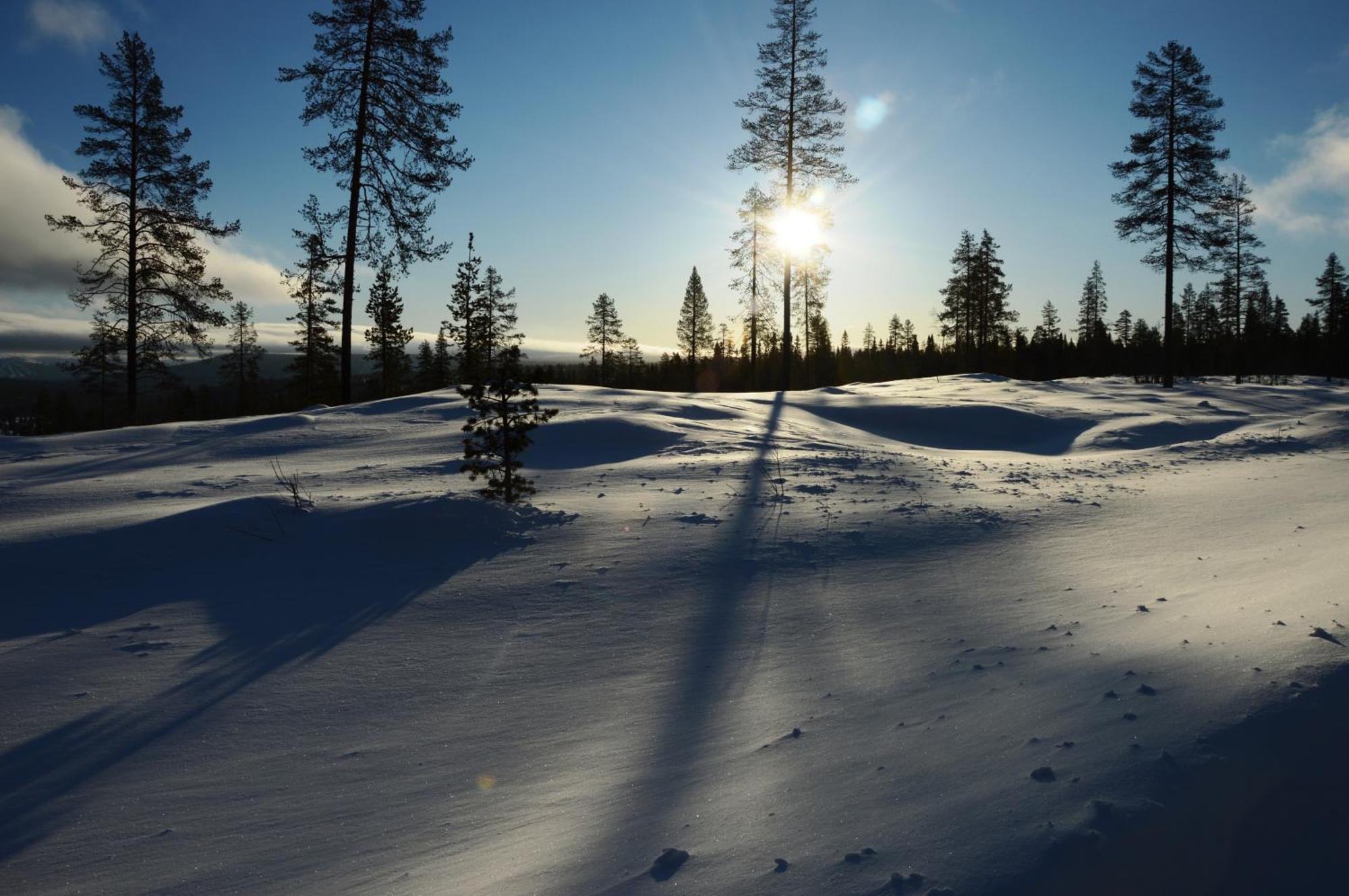 12 - Fulufjellets Nasjonalparker - Natur-, Dyre- Og Fugleopplevelser Ljørdal 외부 사진