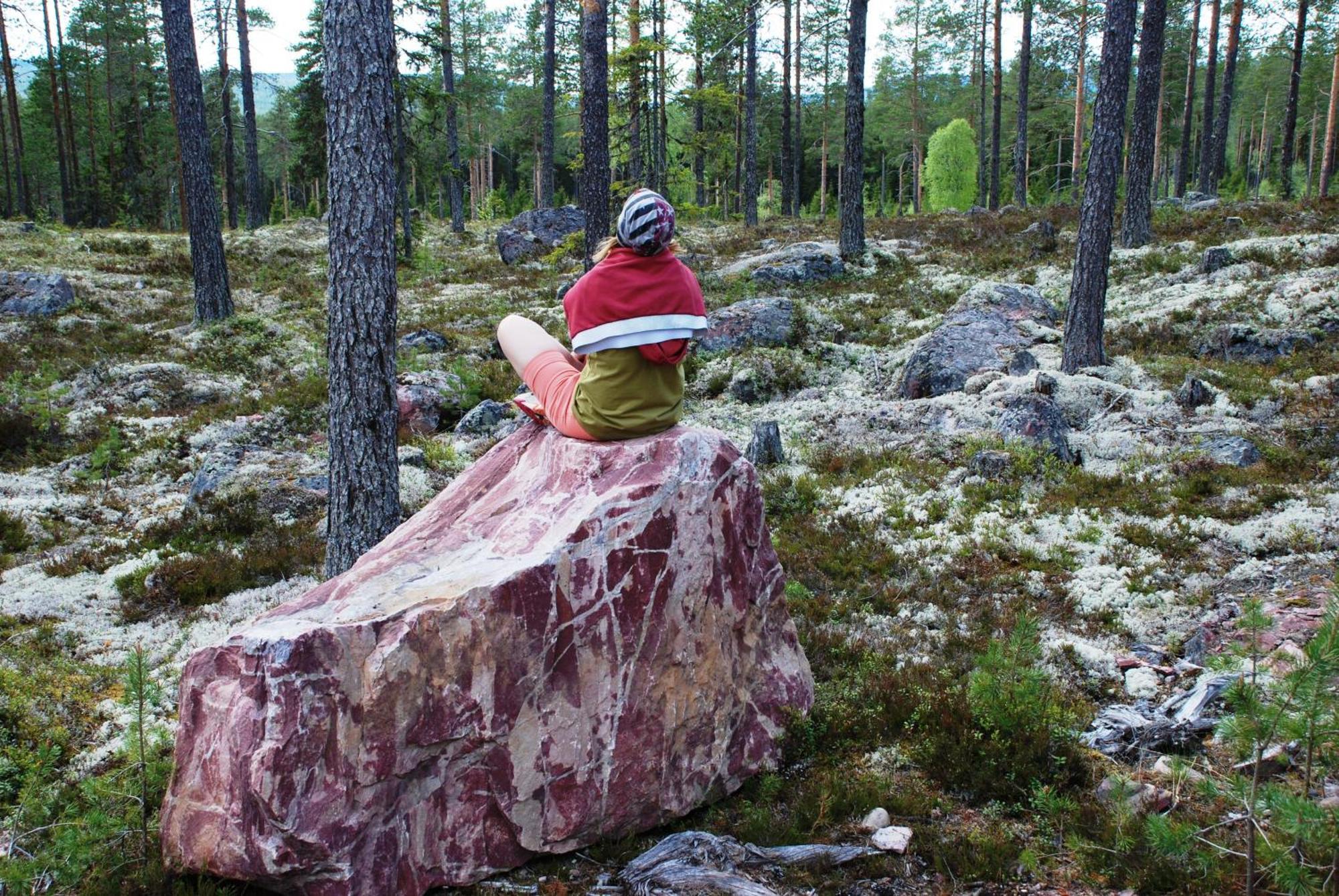 12 - Fulufjellets Nasjonalparker - Natur-, Dyre- Og Fugleopplevelser Ljørdal 외부 사진