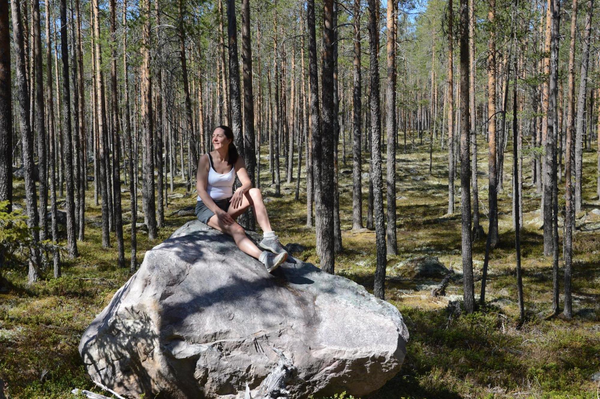 12 - Fulufjellets Nasjonalparker - Natur-, Dyre- Og Fugleopplevelser Ljørdal 외부 사진