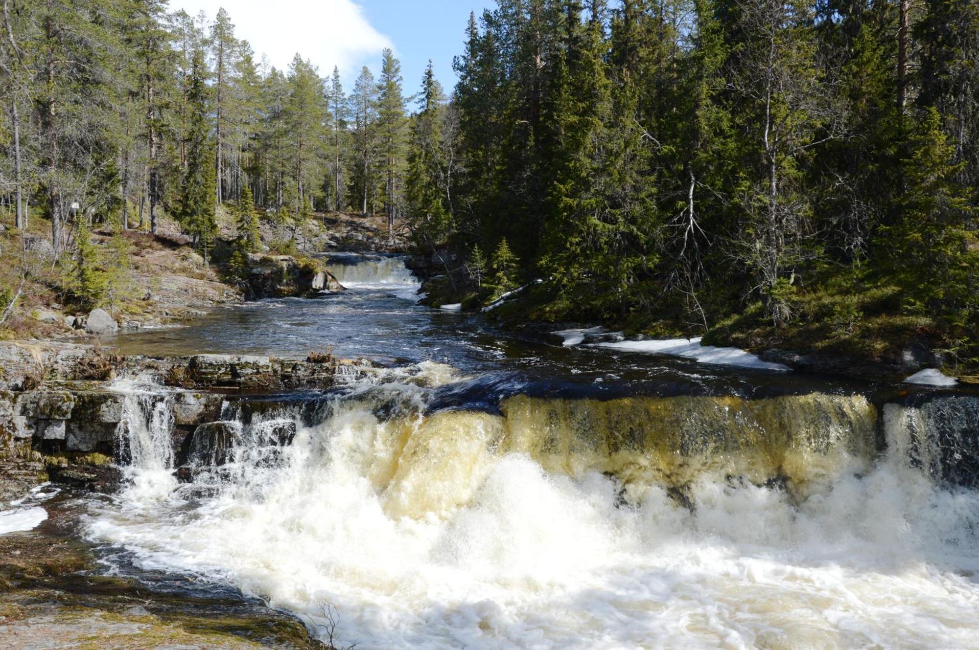 12 - Fulufjellets Nasjonalparker - Natur-, Dyre- Og Fugleopplevelser Ljørdal 외부 사진