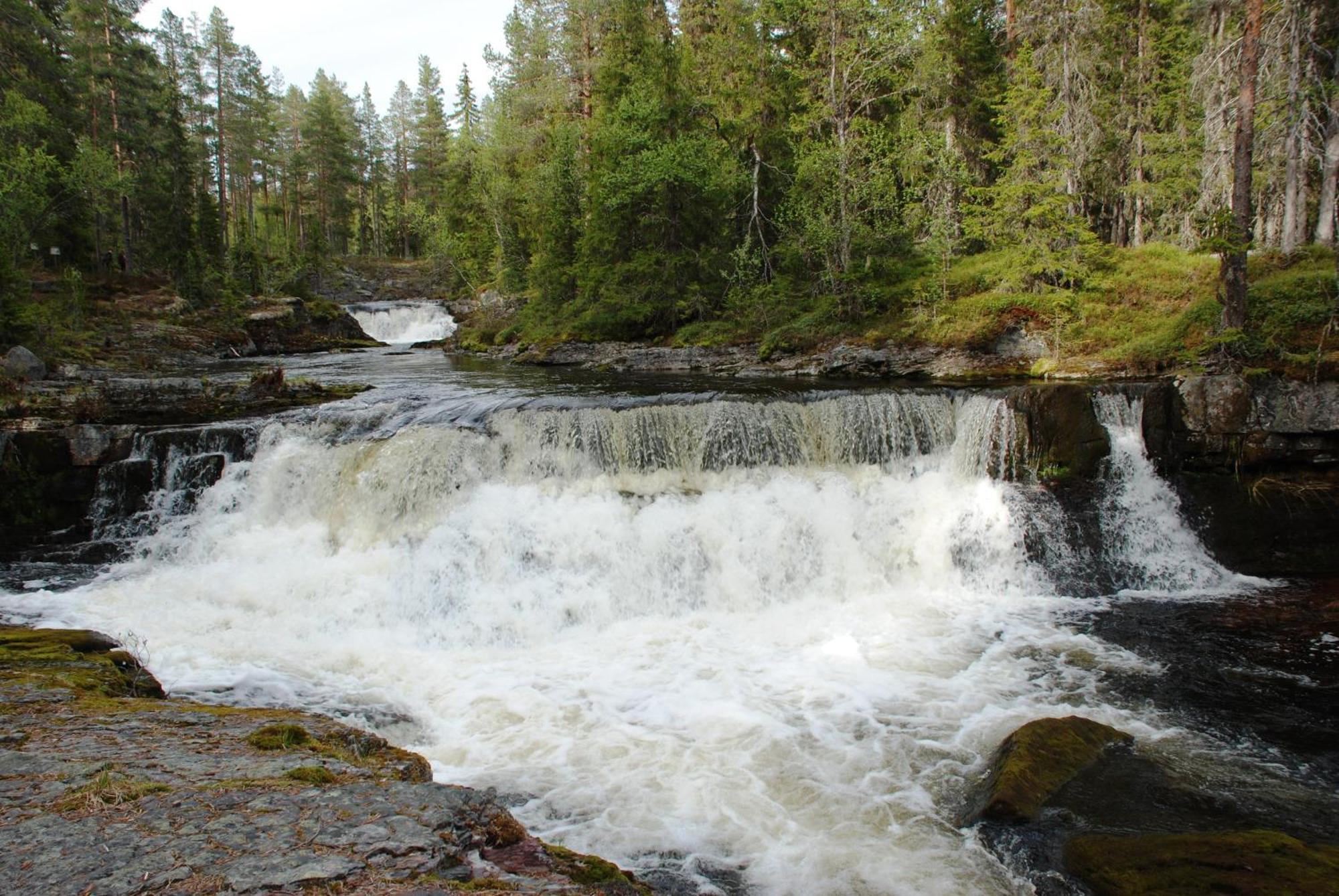 12 - Fulufjellets Nasjonalparker - Natur-, Dyre- Og Fugleopplevelser Ljørdal 외부 사진