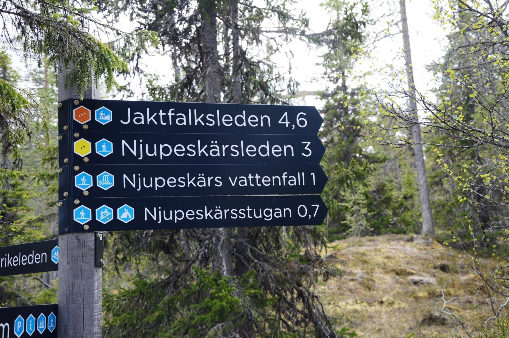 12 - Fulufjellets Nasjonalparker - Natur-, Dyre- Og Fugleopplevelser Ljørdal 외부 사진