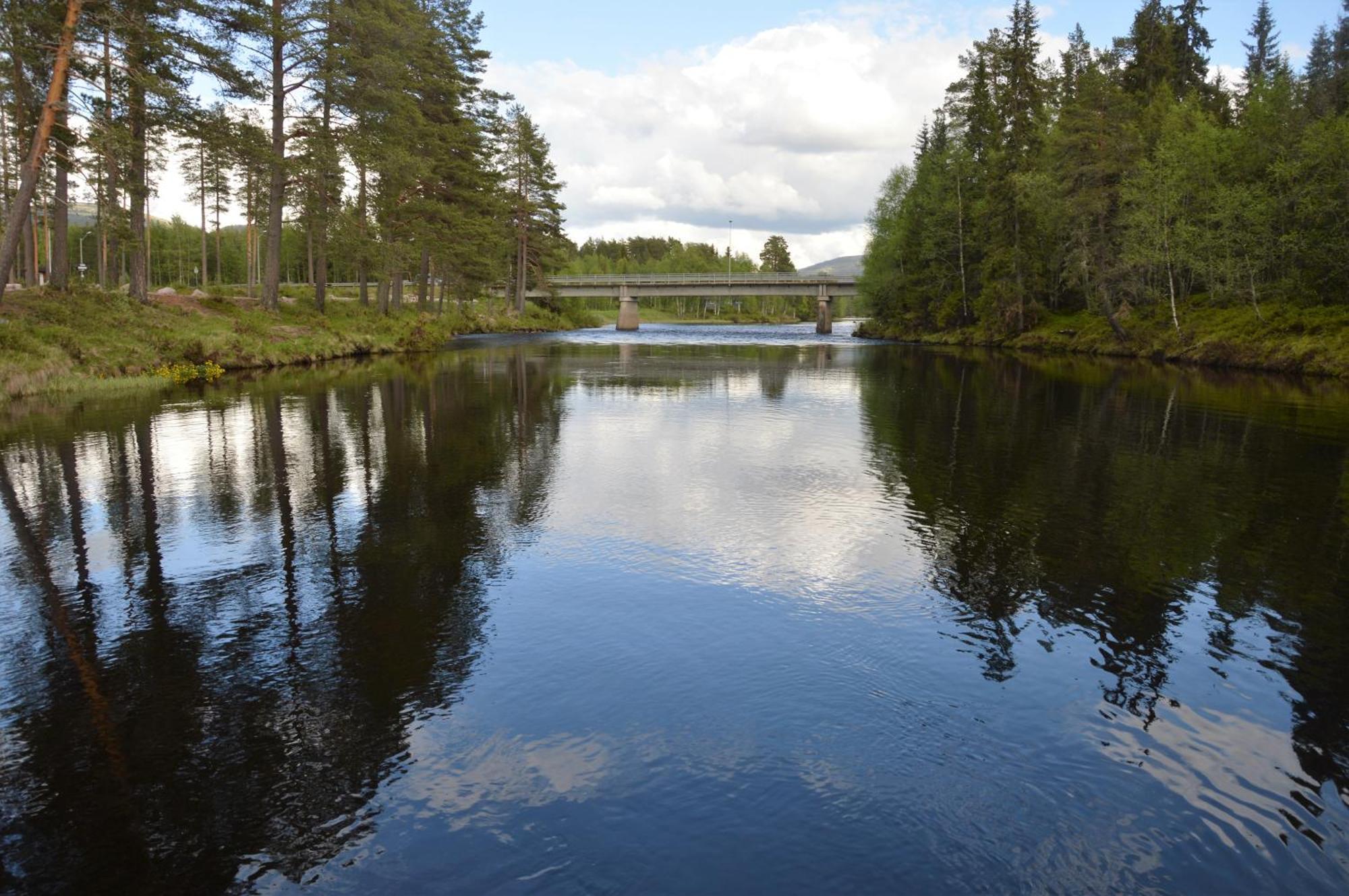 12 - Fulufjellets Nasjonalparker - Natur-, Dyre- Og Fugleopplevelser Ljørdal 외부 사진