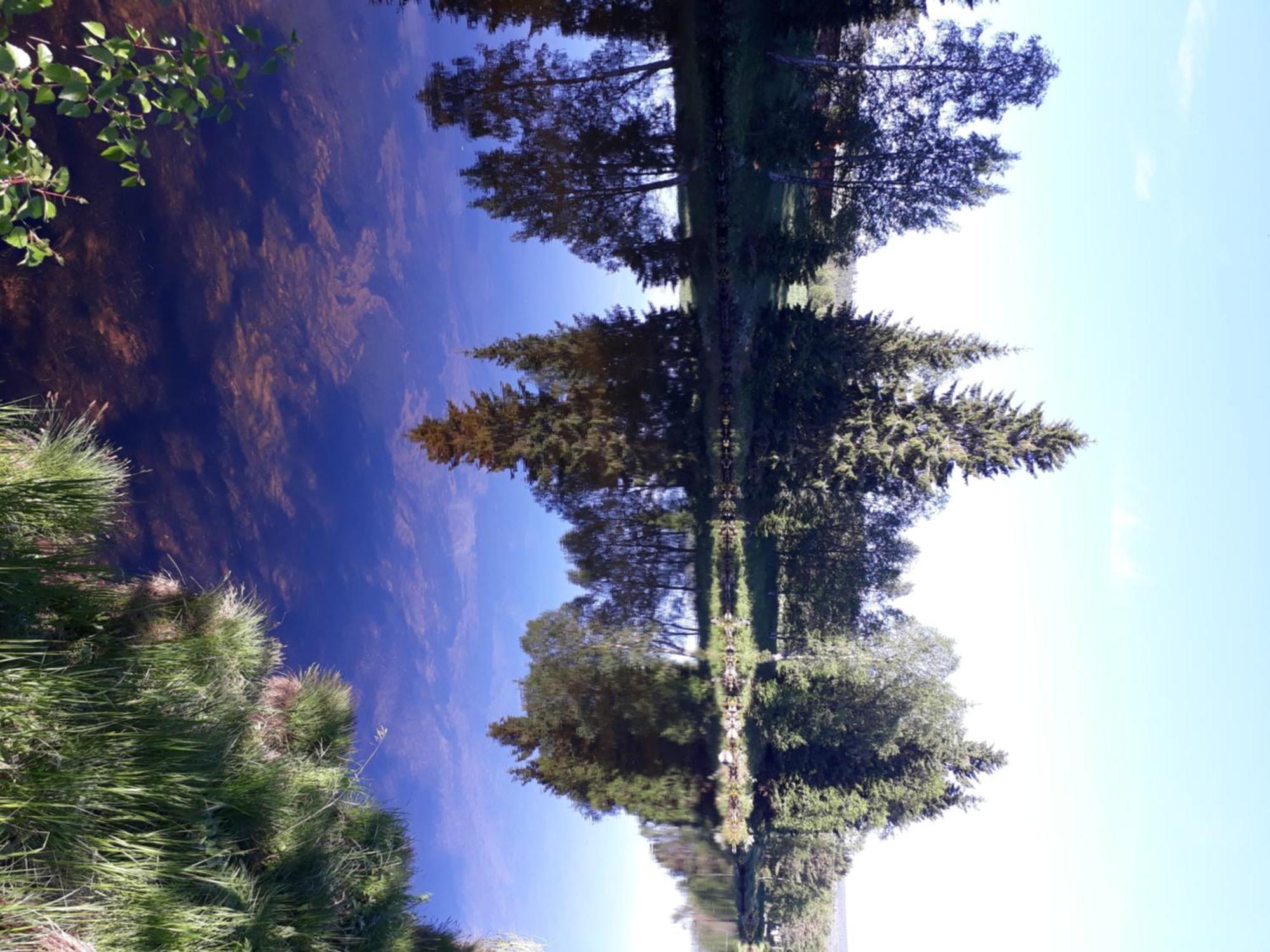 12 - Fulufjellets Nasjonalparker - Natur-, Dyre- Og Fugleopplevelser Ljørdal 외부 사진